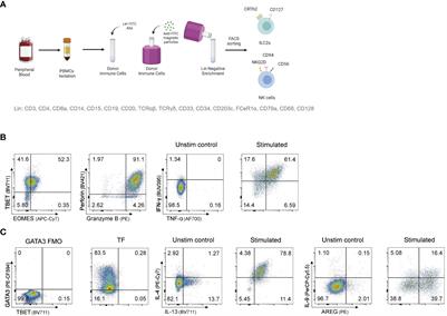 Efficient and stable CRISPR/Cas9-mediated genome-editing of human type 2 innate lymphoid cells